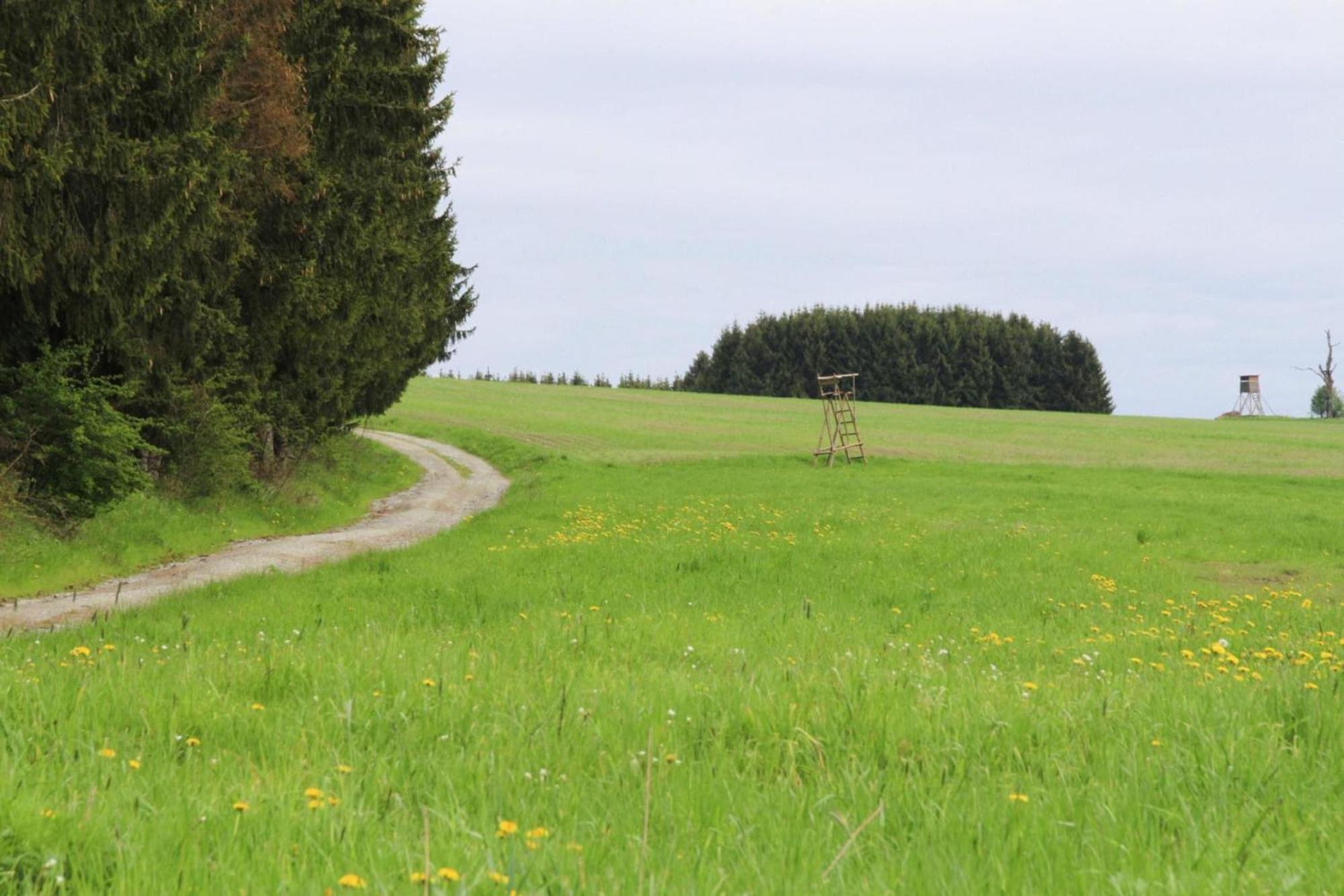 Apartment Braunlage Zewnętrze zdjęcie